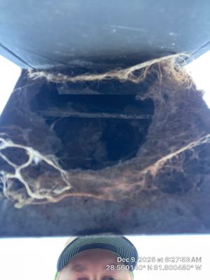 Dryer Vent Cleaning in Groveland