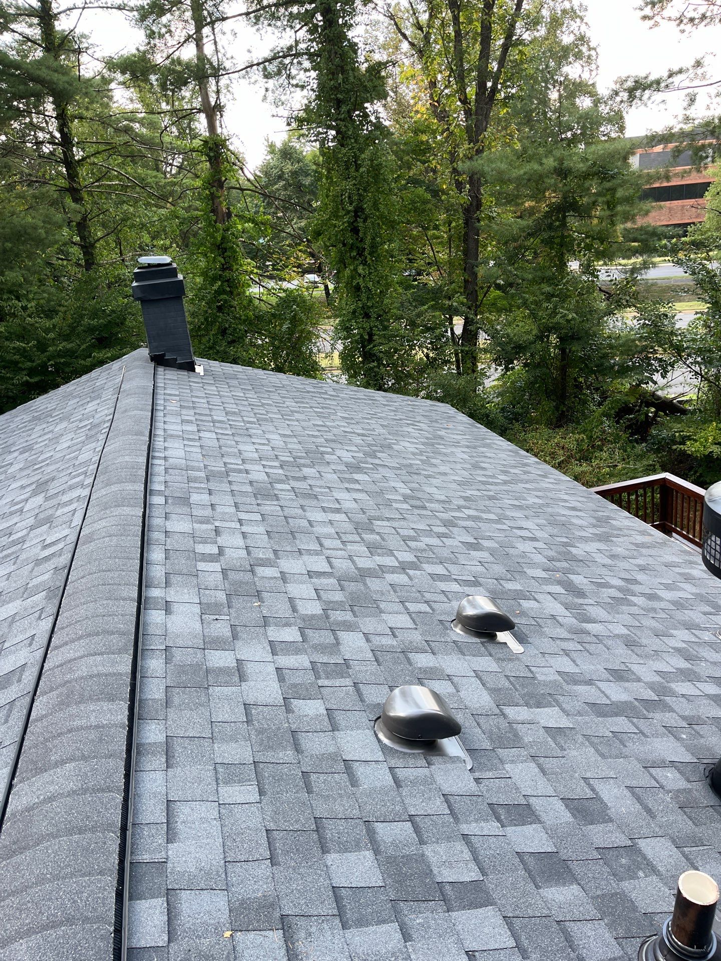Reston: Roof Replacement with CertainTeed Landmark Pro Designer Shingles in Max Def Moire Black by RM Banning, Inc.