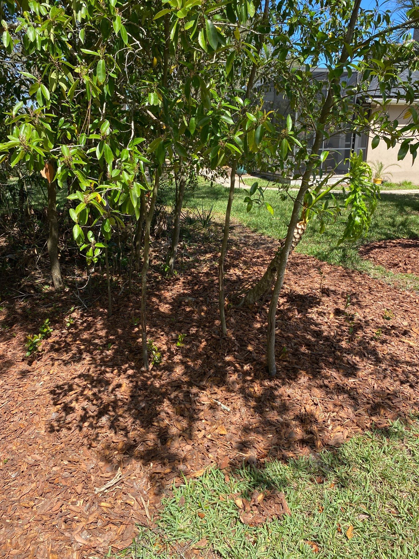 Deerwood Resident | Pine Bark Install by ProGreen Services