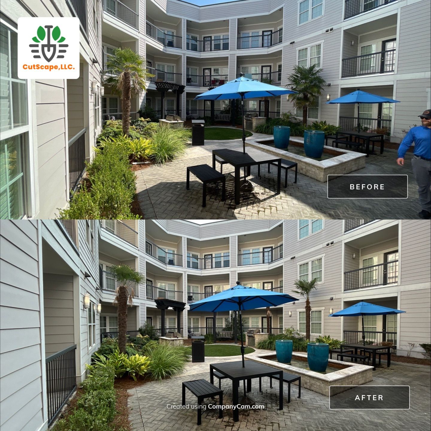 HEDGE TRIM / BED CLEAN using HEDGE TRIM LABOR by CutScape, LLC.