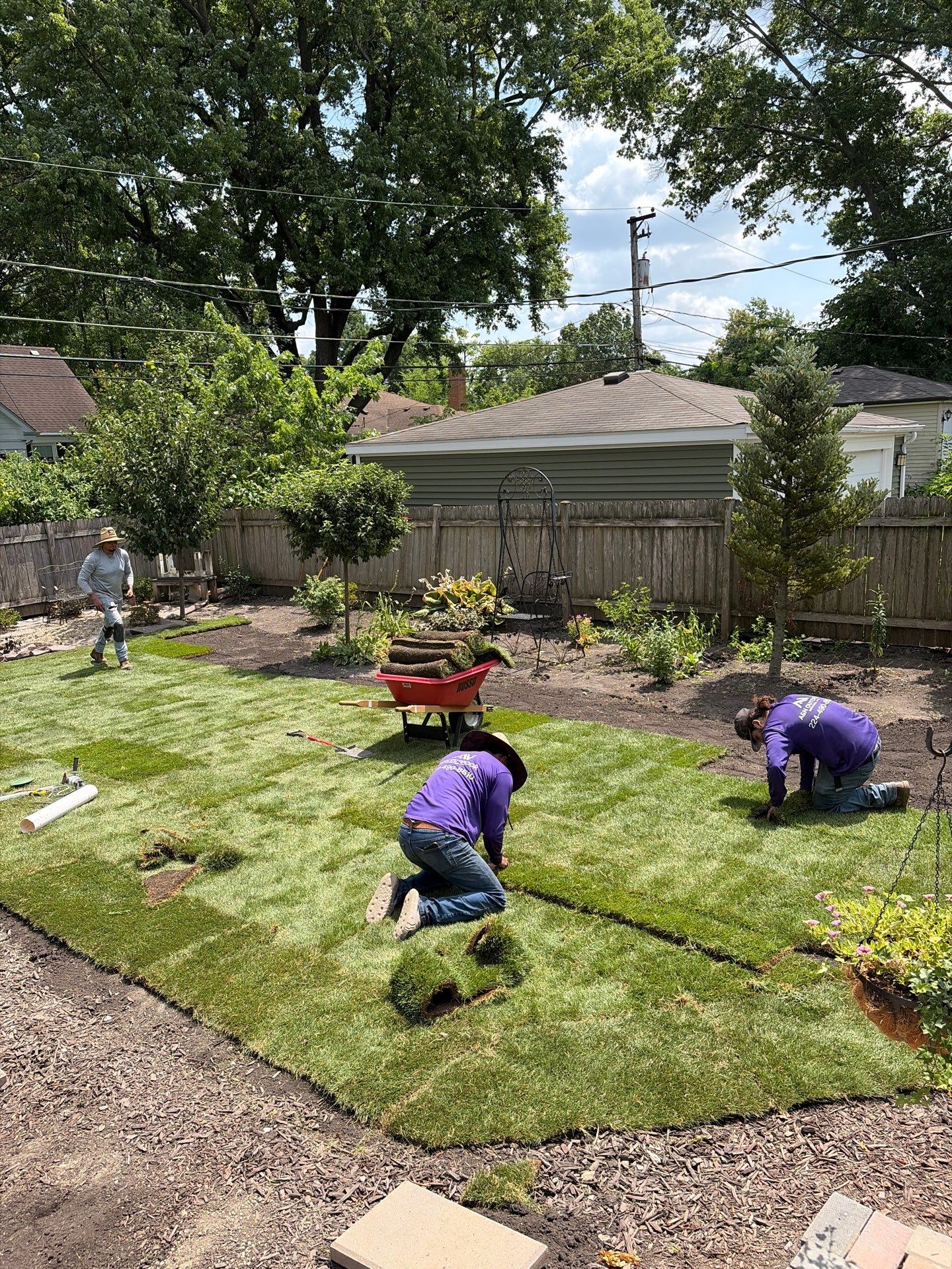 Joanne C. - Mount Prospect, IL by A&N 