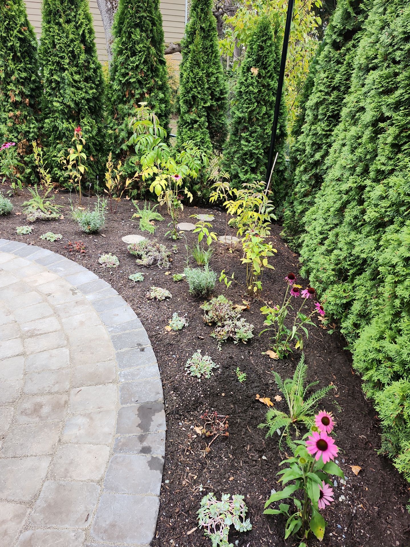 Complete Landscape Transformation - Esquimalt, BC by Habanero Garden and Exterior Care