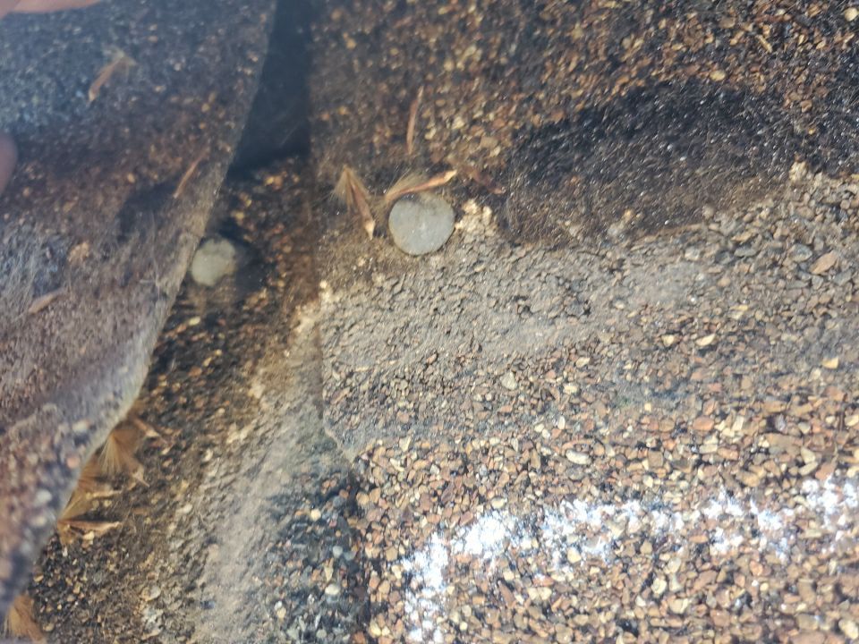 Residential Roofing Installation using Owens Corning by ID Roofing LLC