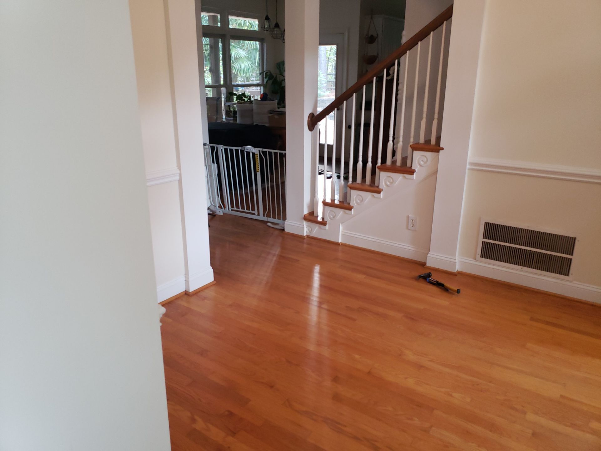 Front Room Transformed into a Waterproof Pet Room by A Step Above Handy LLC 