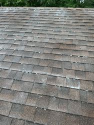 Solar Panel Cleaning in Mountain Lakes, NJ — Gallo Bros job photo
