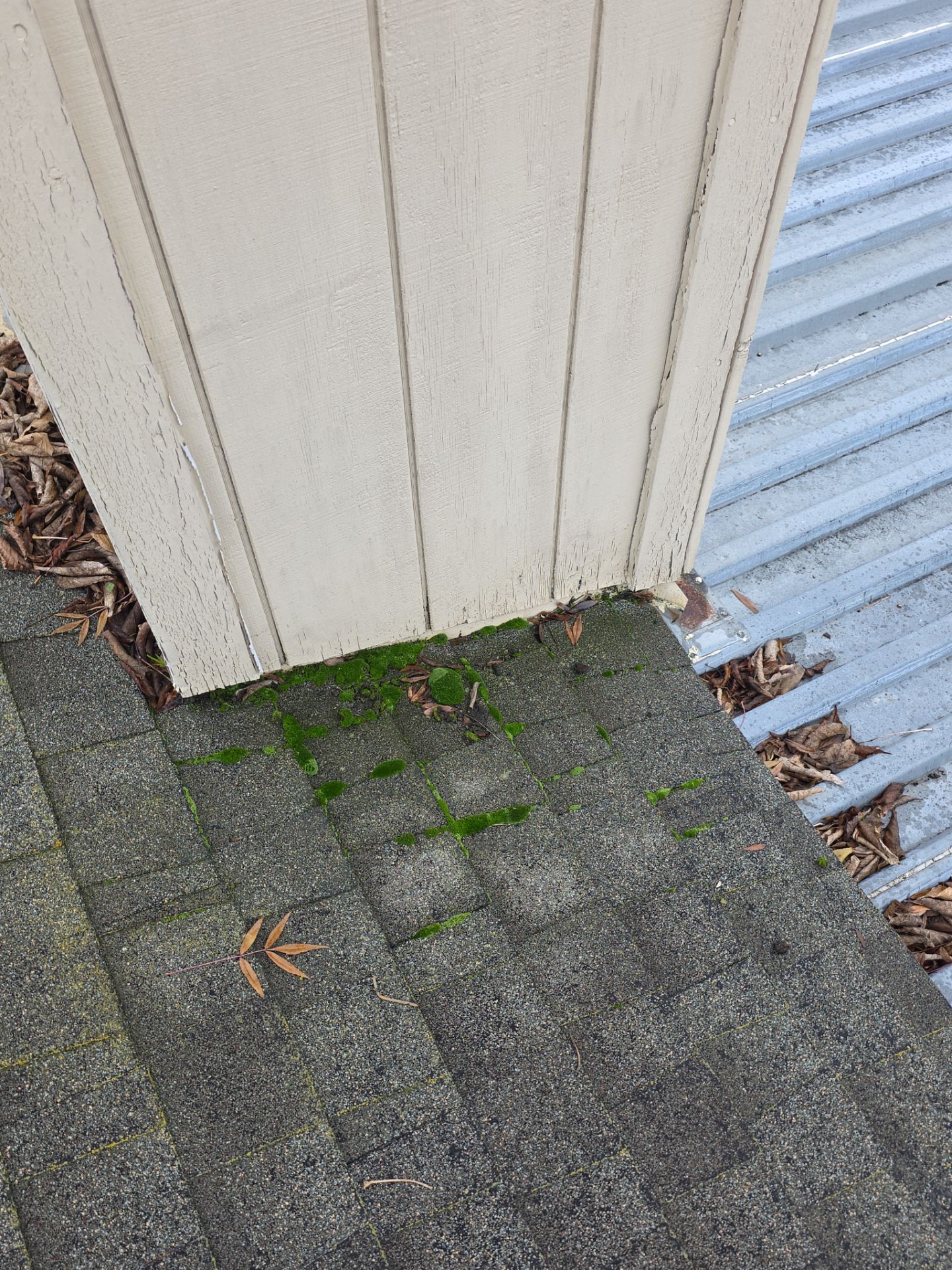 Roof Rejuvenation using Roof Maxx Treatment by Roof Maxx of Folsom