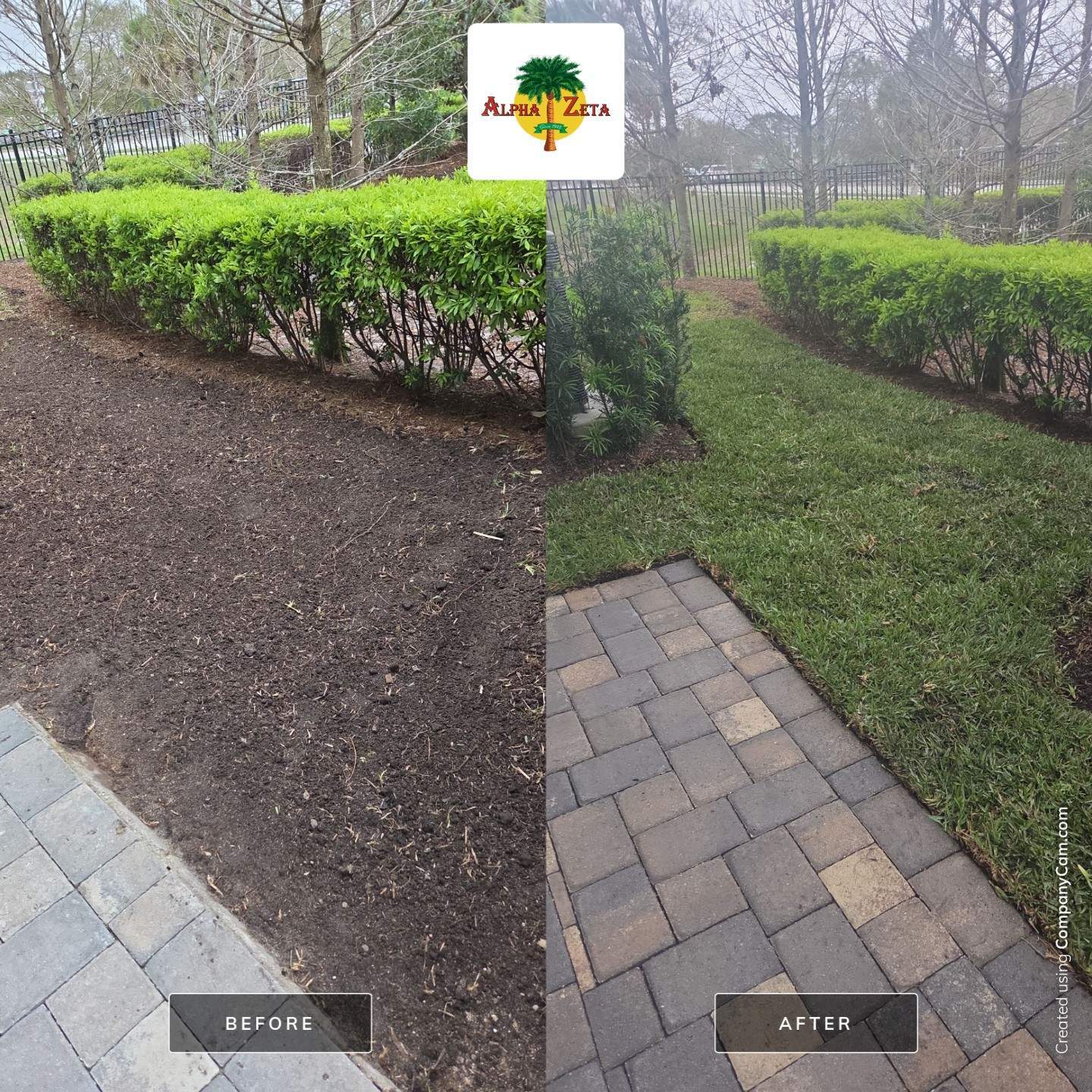 🌱 Magnolia Ridge Lawn Refresh by Alpha Zeta Enterprises Inc