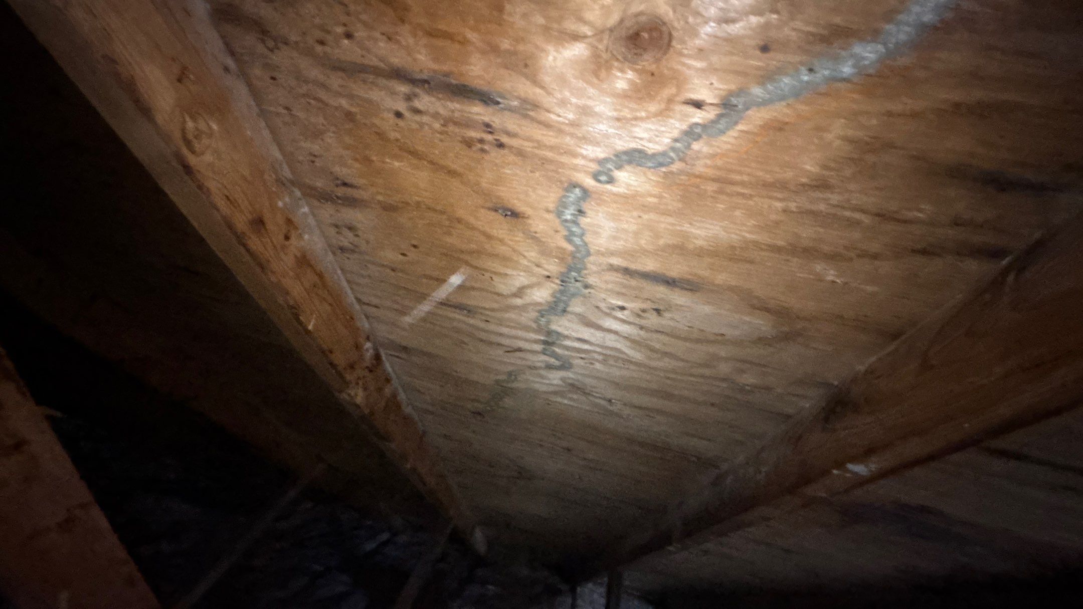 Roof Replacement using Owens Corning Summer Harvest by 180 Contractors