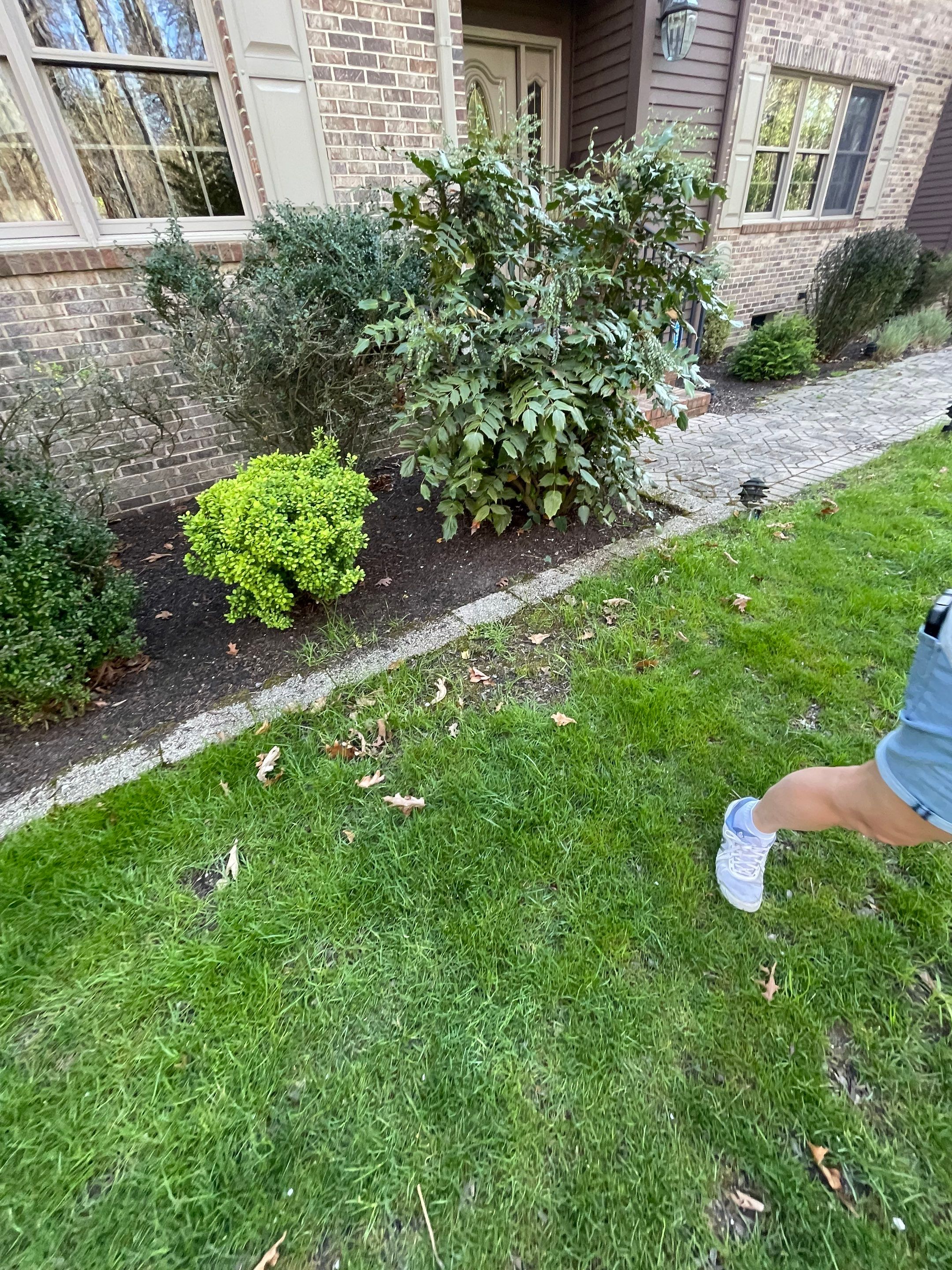 Pavers Cleaned, Garage and Concrete walls by SJ Exterior