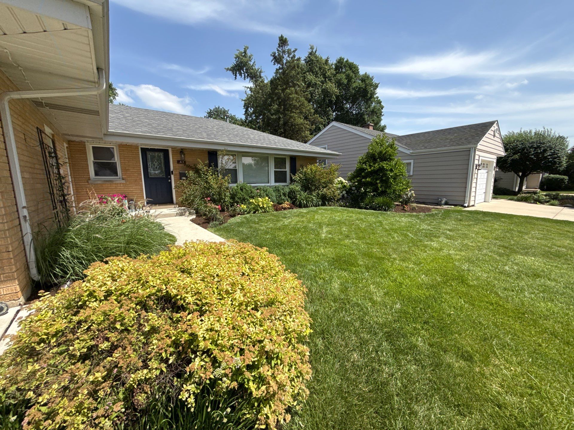 Cheris B. - Mount Prospect, IL by A&N 
