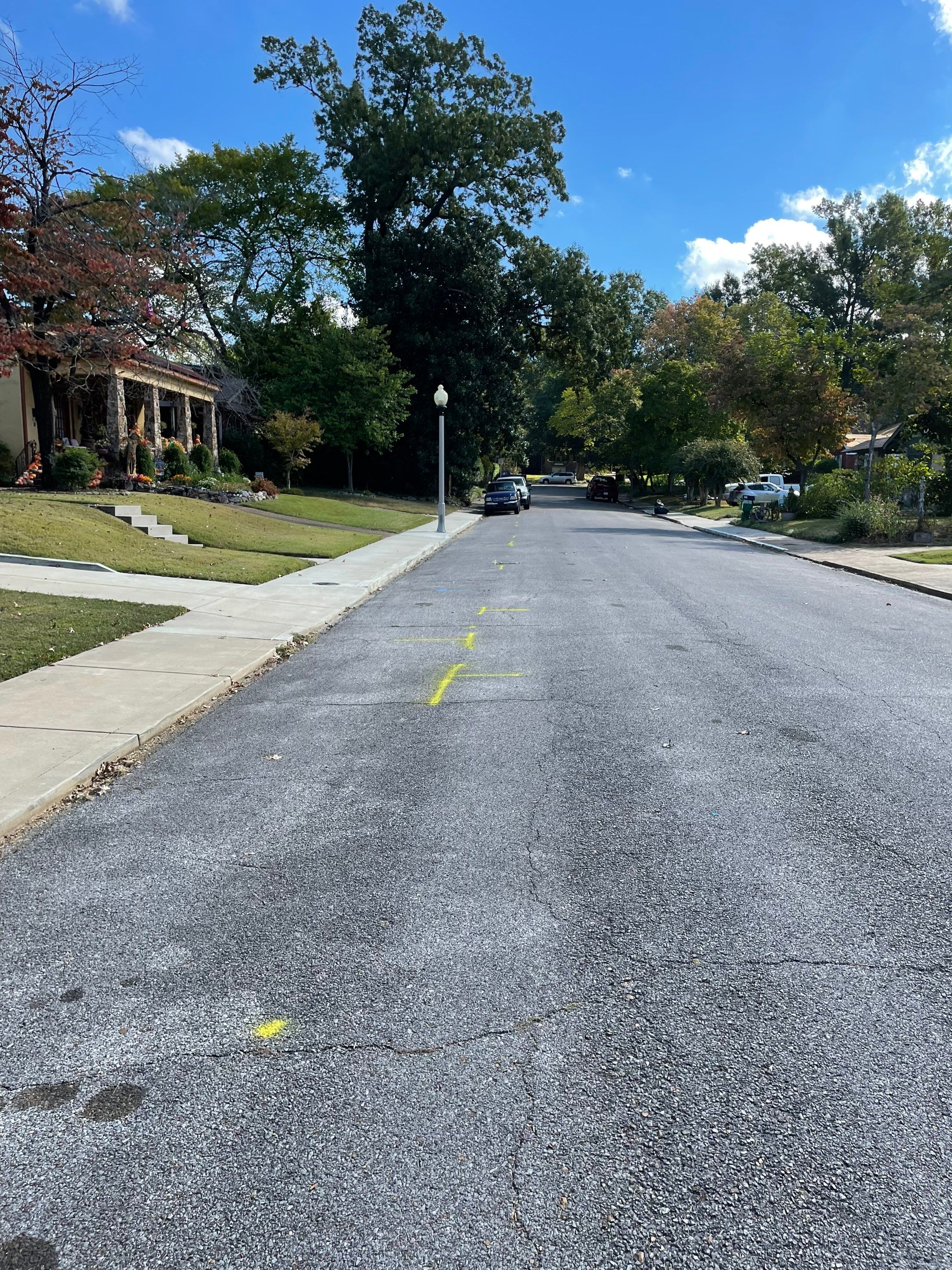Utility Locate for Survey Purposes by Alsip Locating Service, LLC
