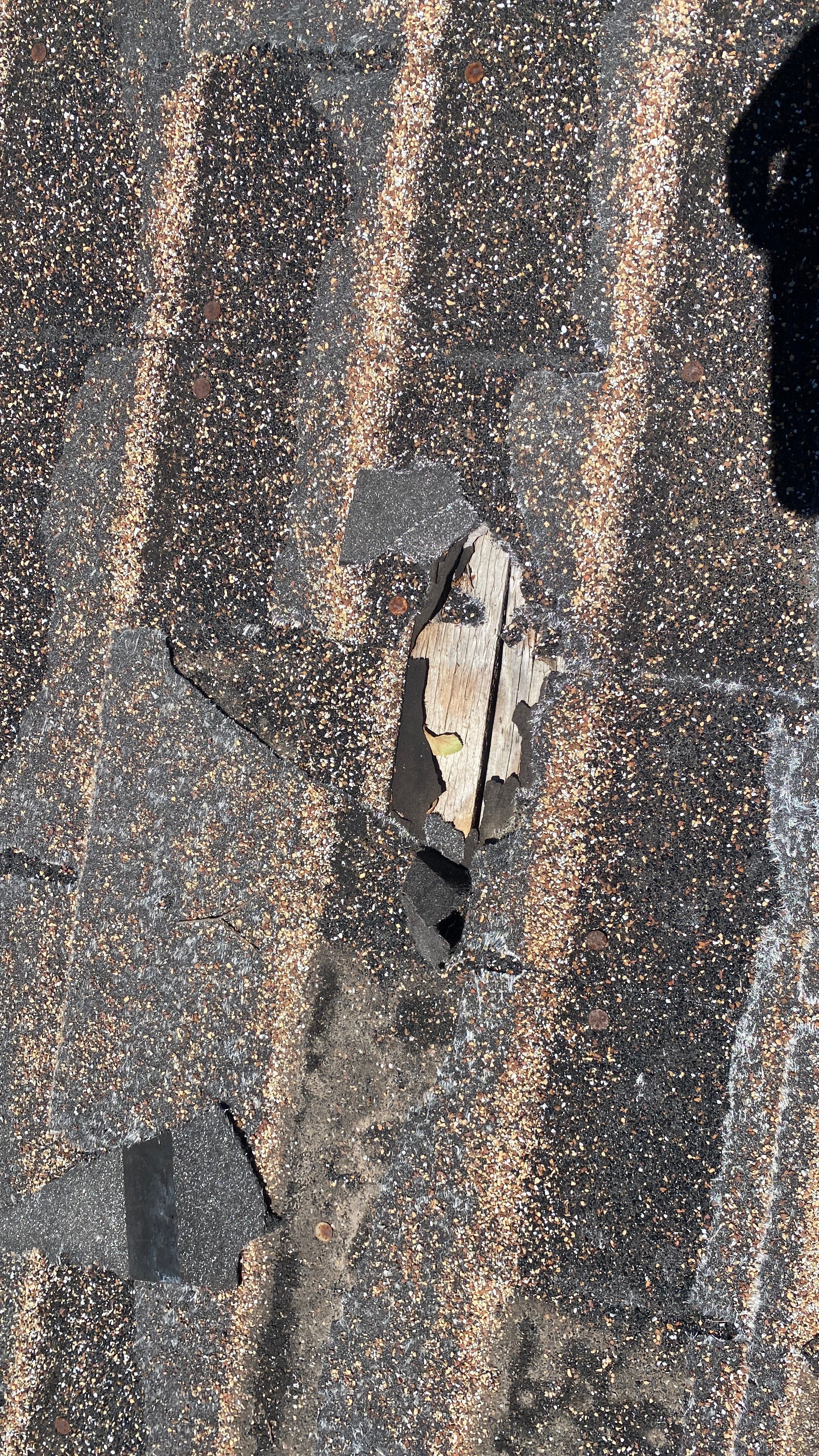 Residential Roof Replacement using GAF - HDZ - Barkwood by Action Exteriors Austin