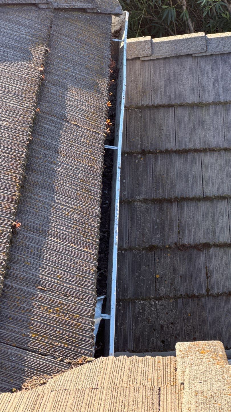 Project by NuLead Construction Inc by NuLead Construction Inc