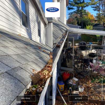 Gutter Cleaning