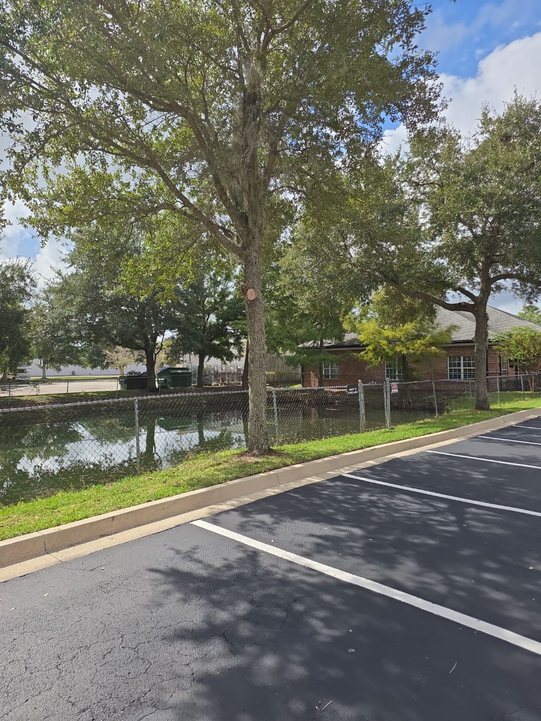 Commercial Property | Tree Removal & Trimming by ProGreen Services