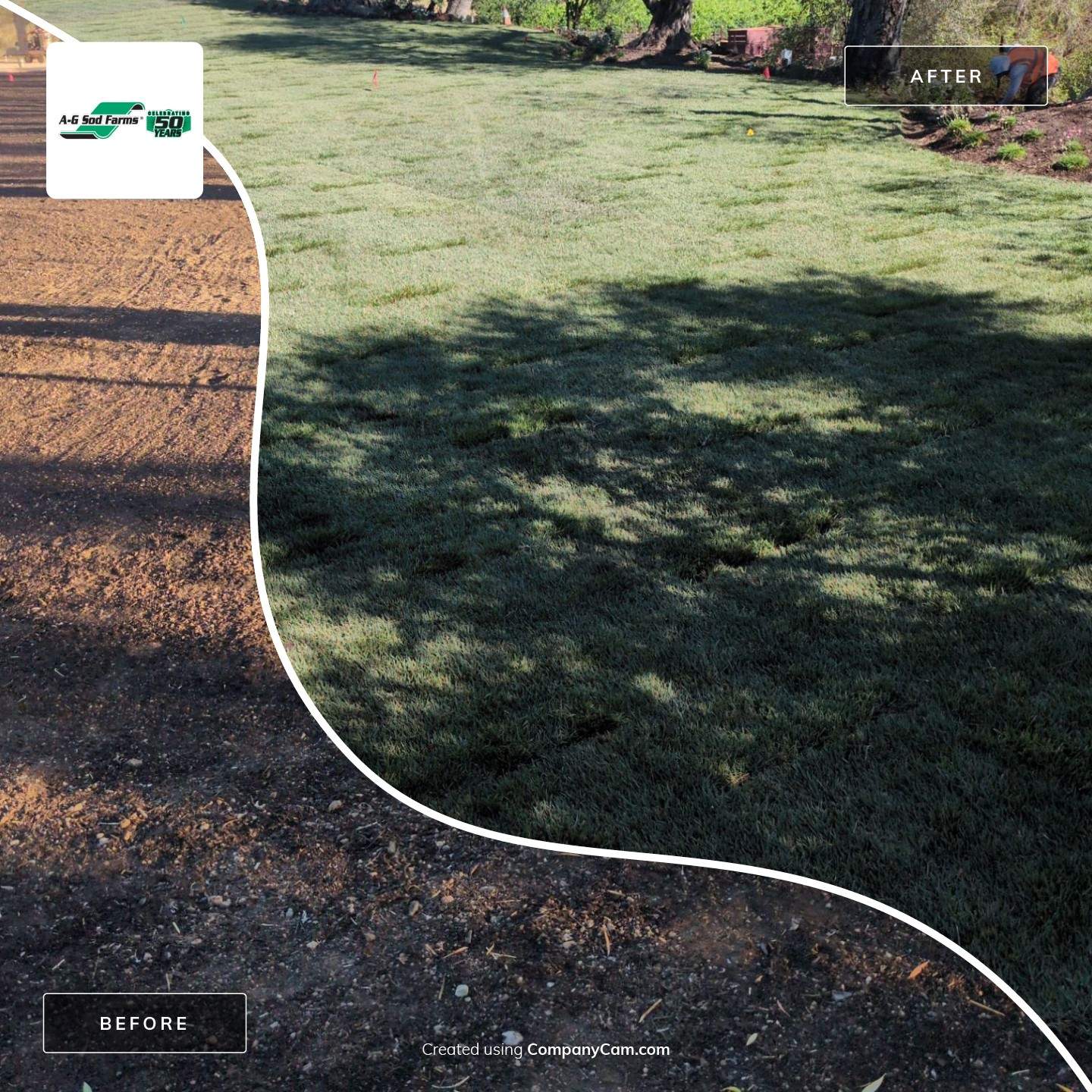 Project in Napa by A - G Sod Farms