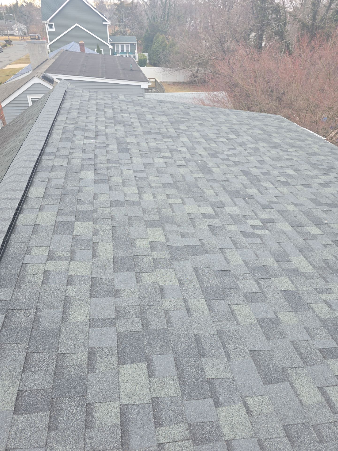 Silver Birch Shingles by Reimagine Roofing