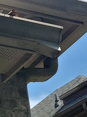 Project in Alpharetta