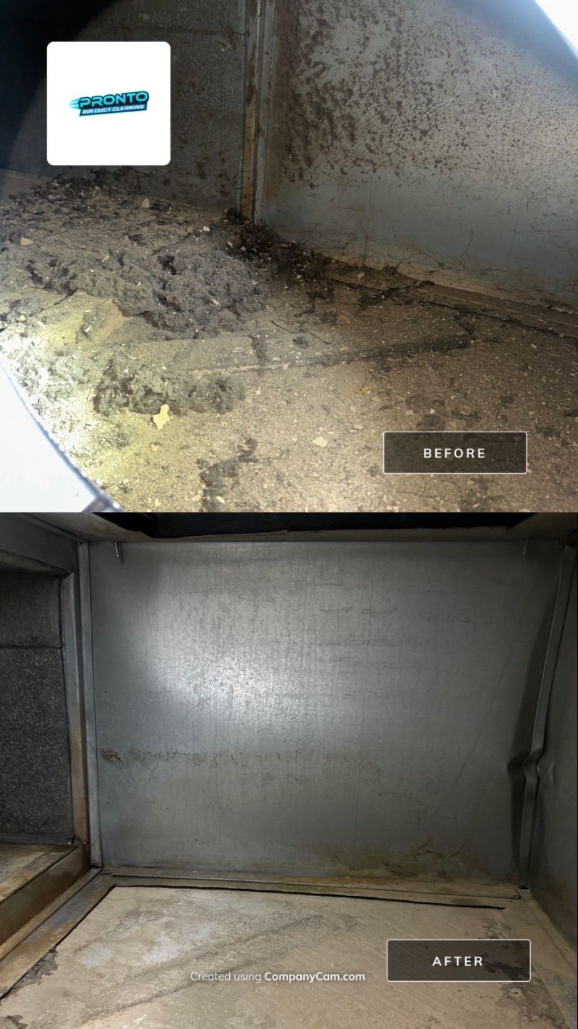 Air Duct Cleaning Manassas VA by Pronto Air Duct Cleaning