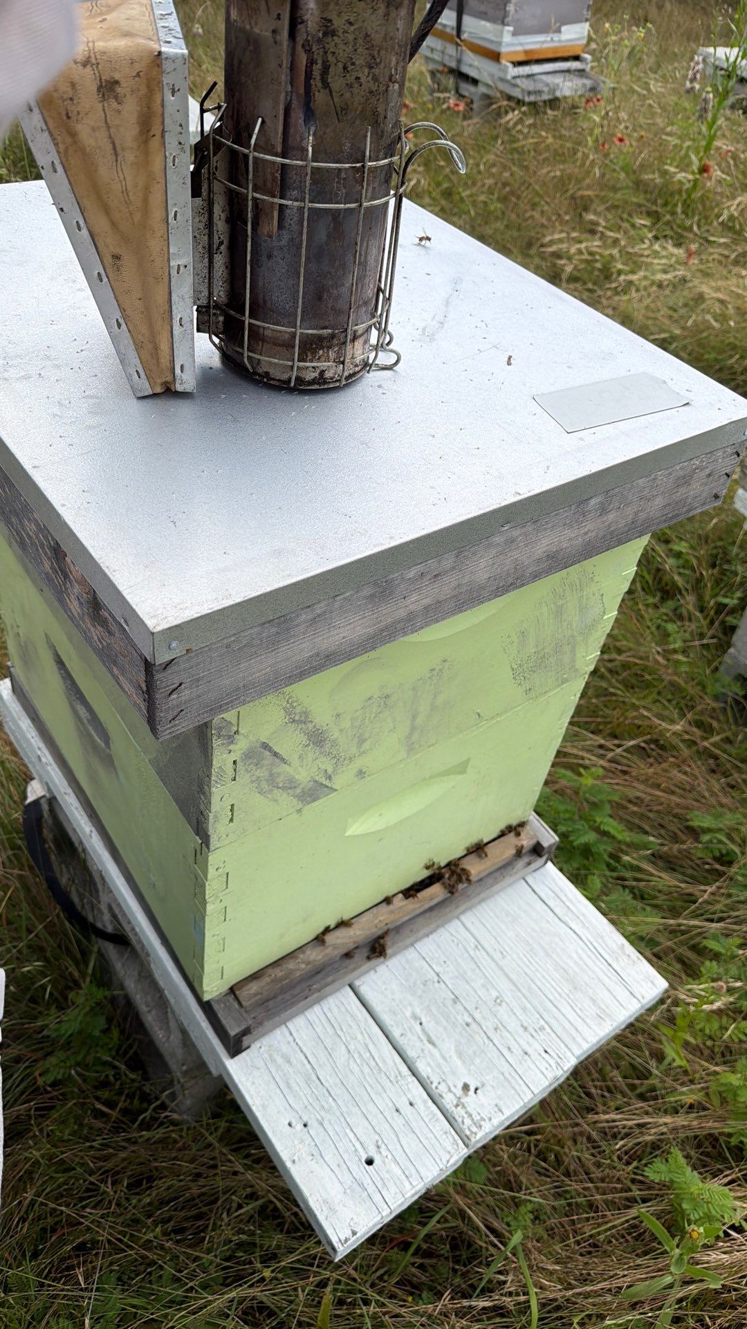Bees for Ag. Exemption in Heath by Rockwall Honey Bee Company