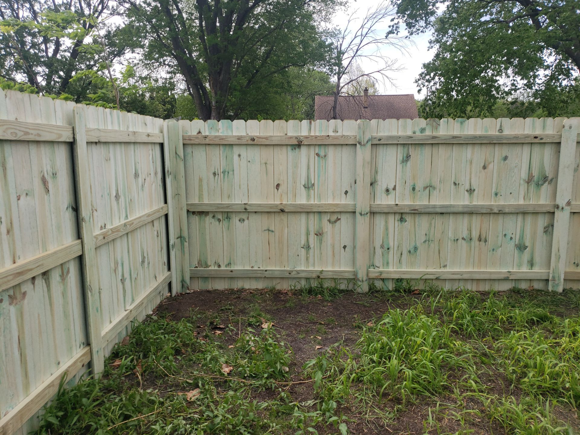 Pressure-Treated Wood Privacy Fence Installation in Waterloo by Perfect Picket Fence and Stain