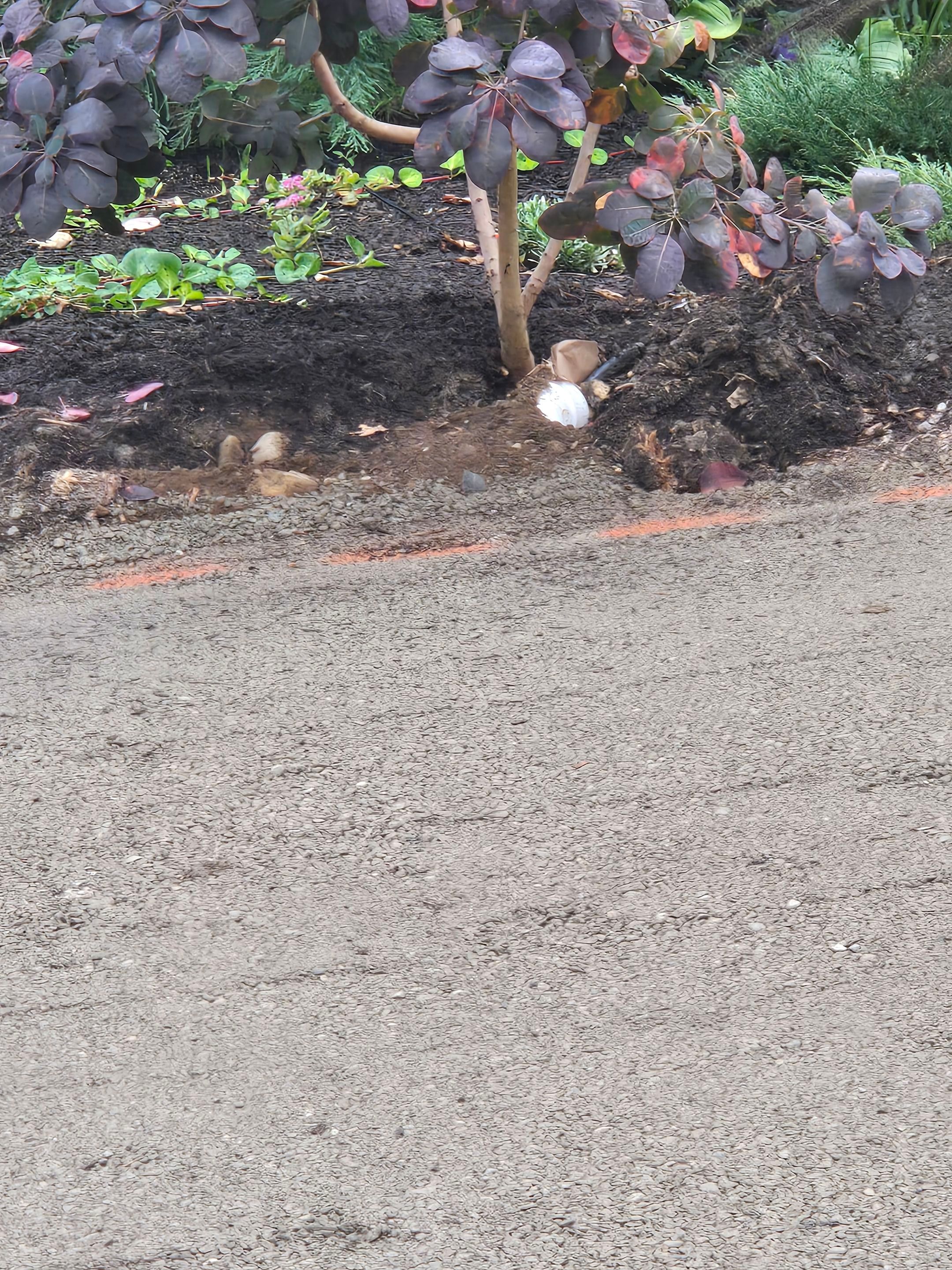 Asphalt Driveway Repair | Edmonds  by Jireh Asphalt & Concrete Inc 