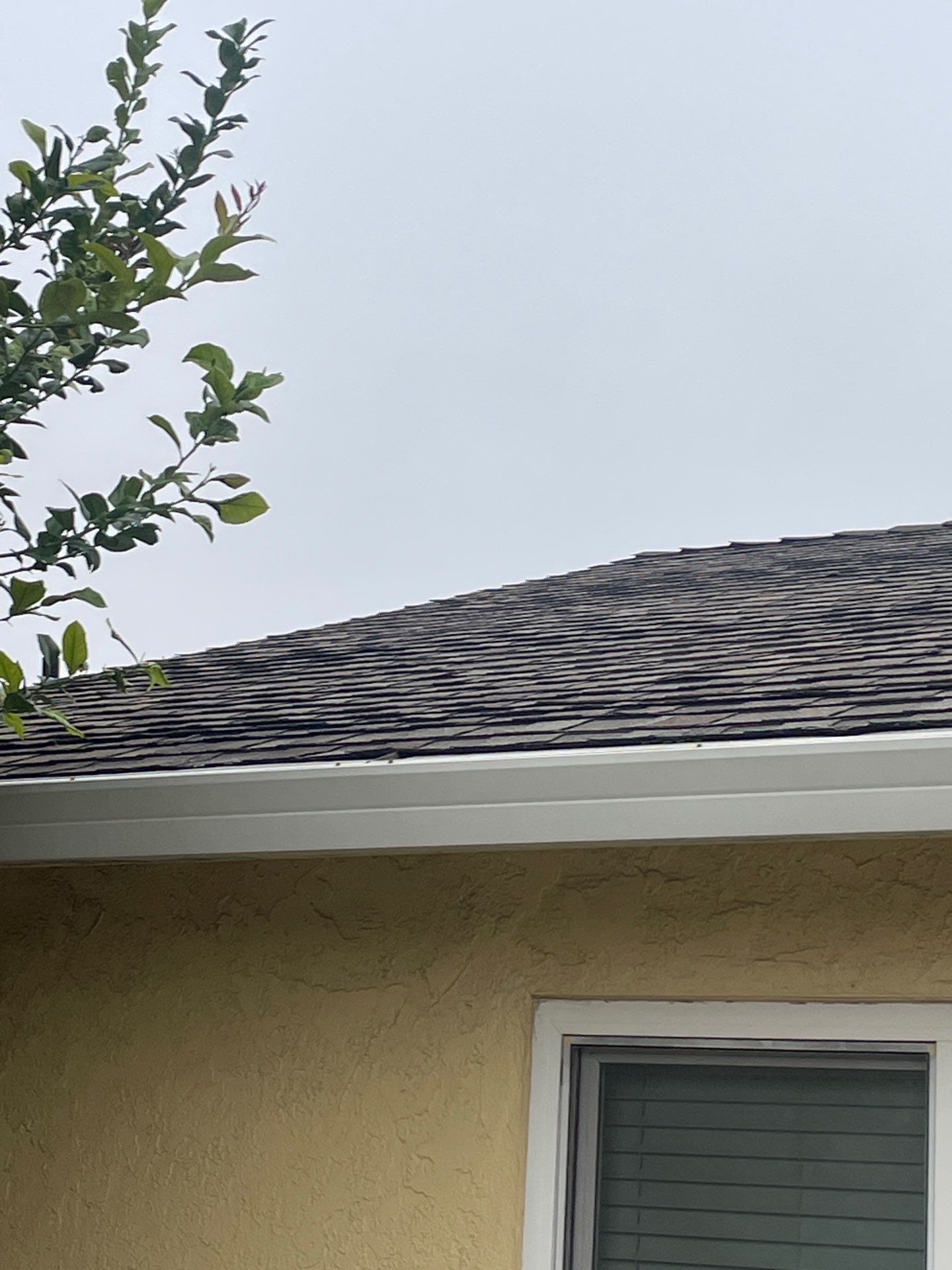 Roof Rejuvenation using Roof Maxx Treatment by Roof Maxx of Folsom