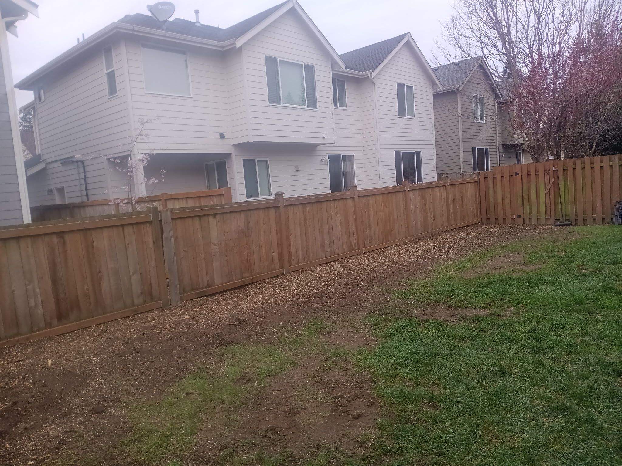 Tree Removal & Stump Grinding in Maple Valley (Residential Property Line Project) by Sound Tree Care LLC