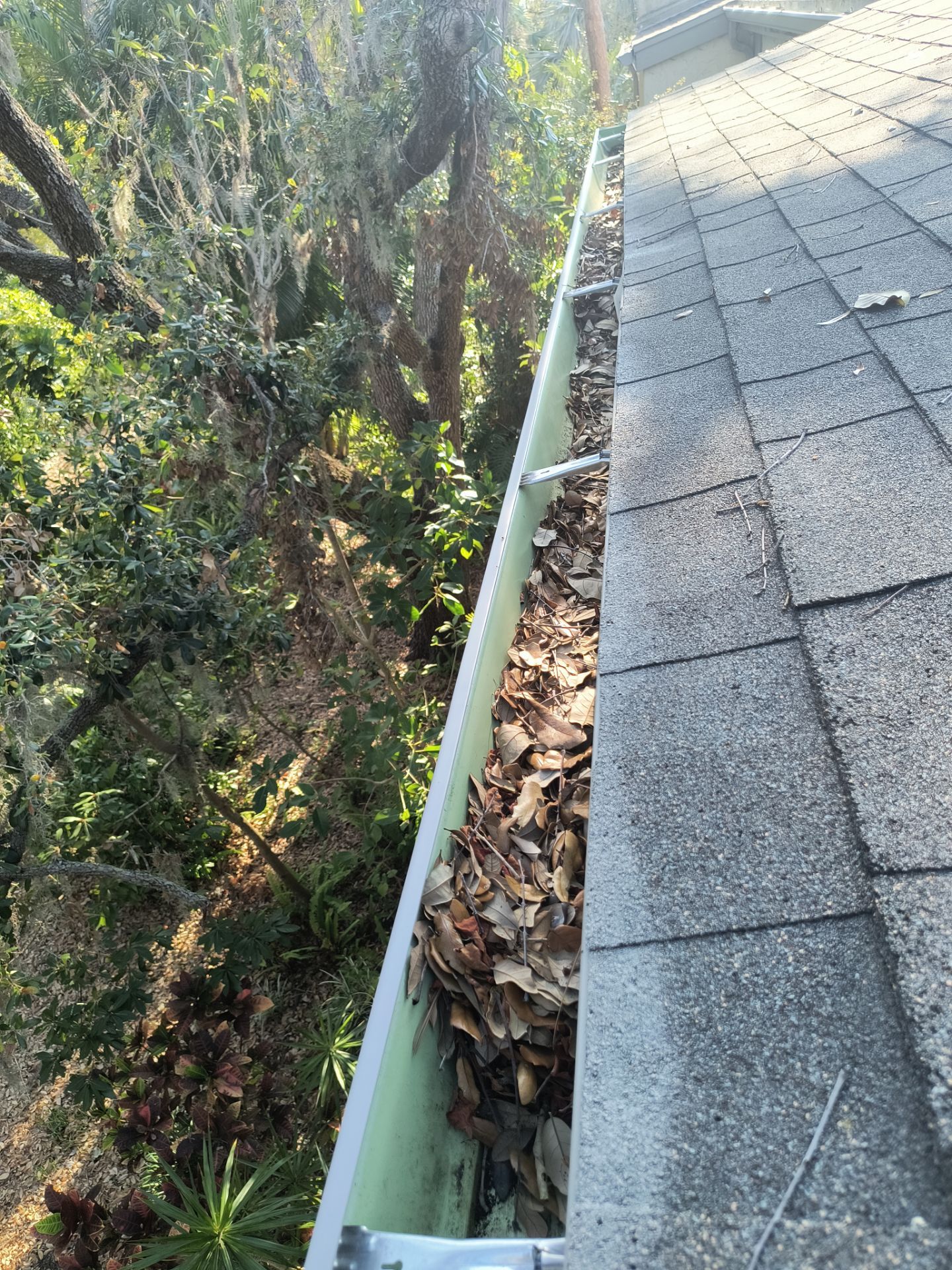 Professional Gutter cleaning Aluminum Seamless Gutters  in Sarasota FL by Gutter Professors