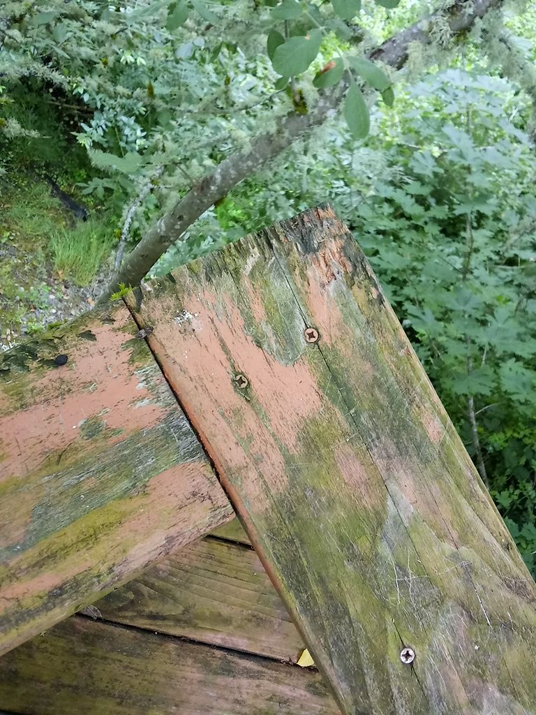 Deck Restoration using Armstrong-Clark Semi-Transparent Cedar 97229 by Paul Schopp