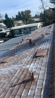 Roof Rejuvenation using Roof Maxx Treatment