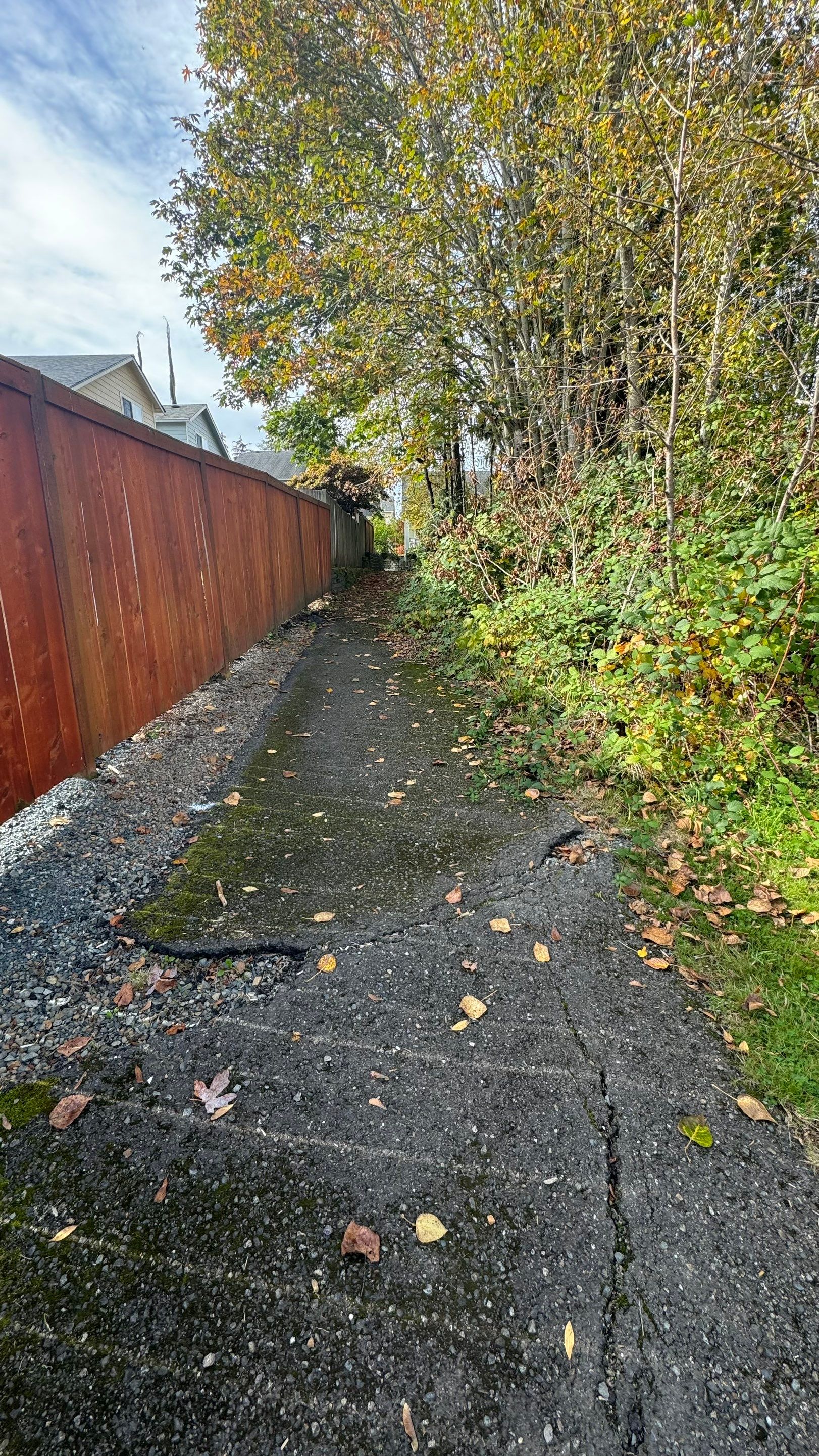 Asphalt Driveway Repair | Lake Stevens  by Jireh Asphalt & Concrete Inc 