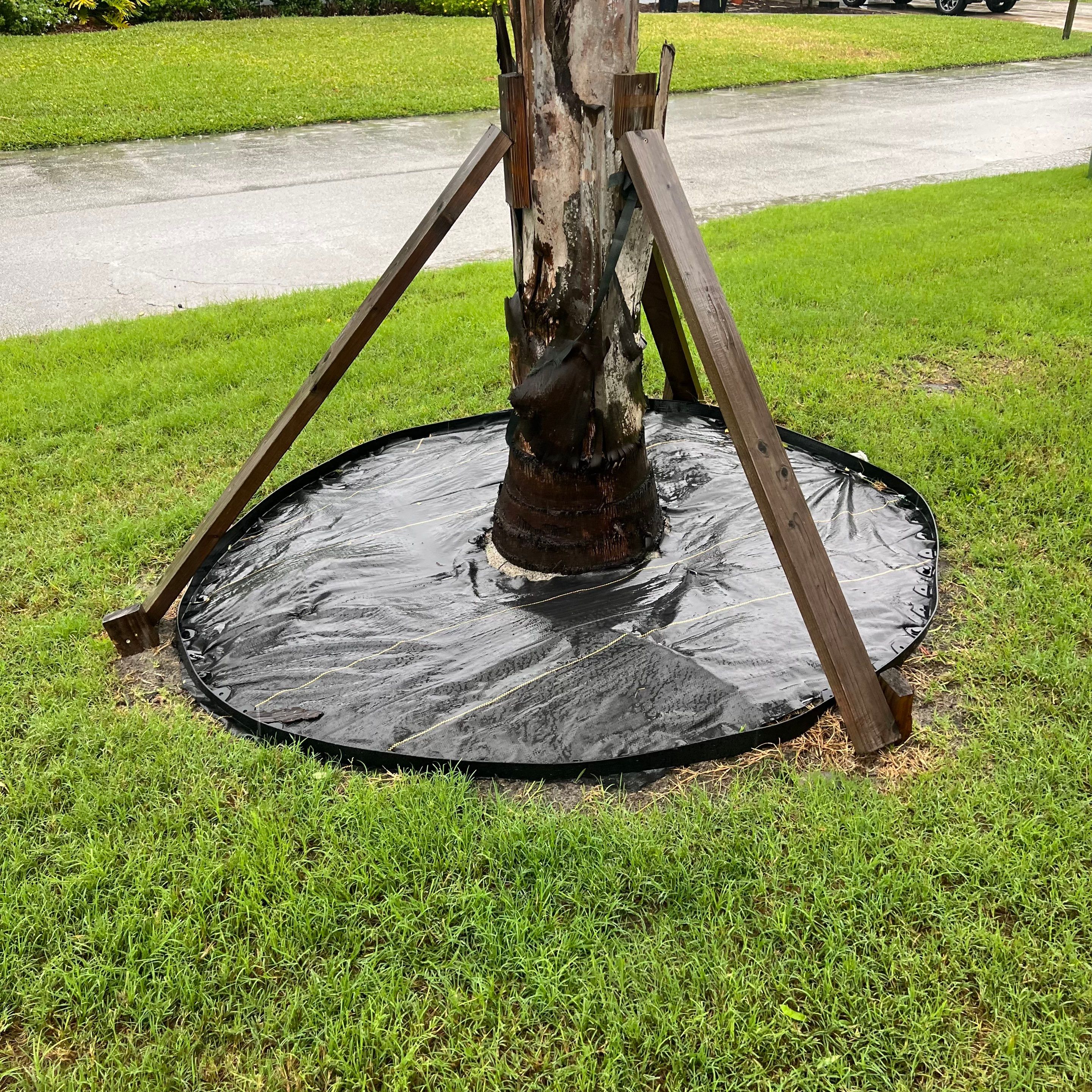 Rock & Agave Installation | Residential by ProGreen Services