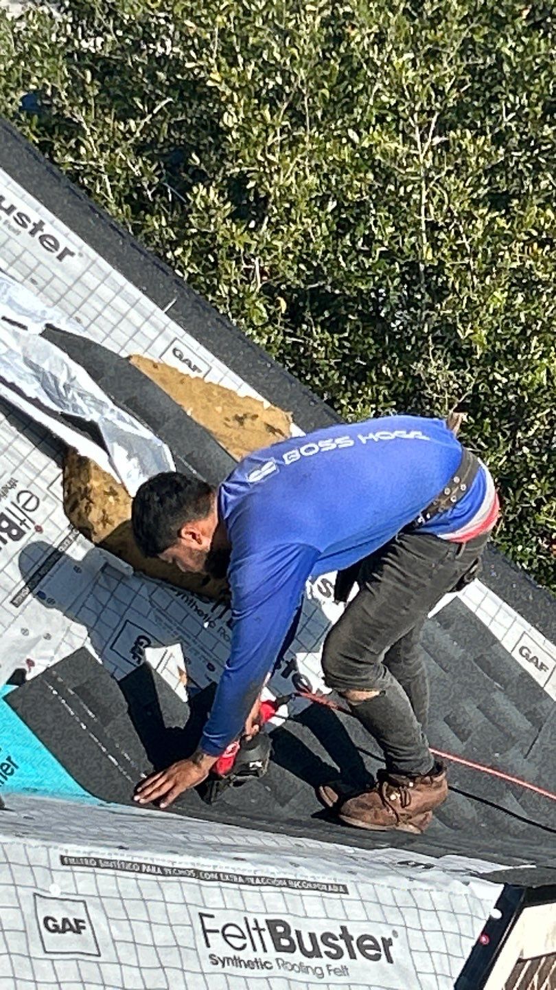 WENDY M by Boss Hogg Roofing