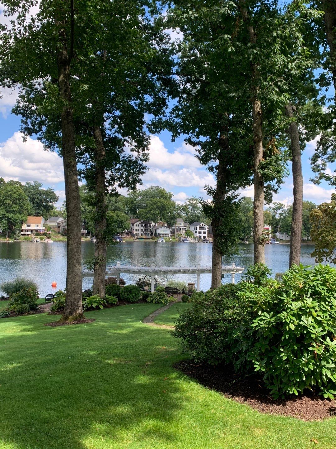 Tree Trimming using Tree Pruing by Mike Jones & Sons Tree Service LLC 