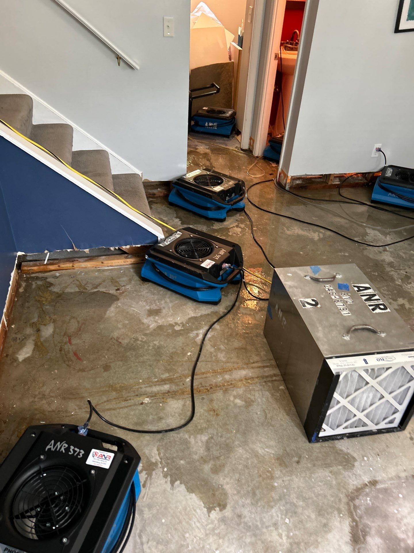 Full Service Restoration by ANR Restoration