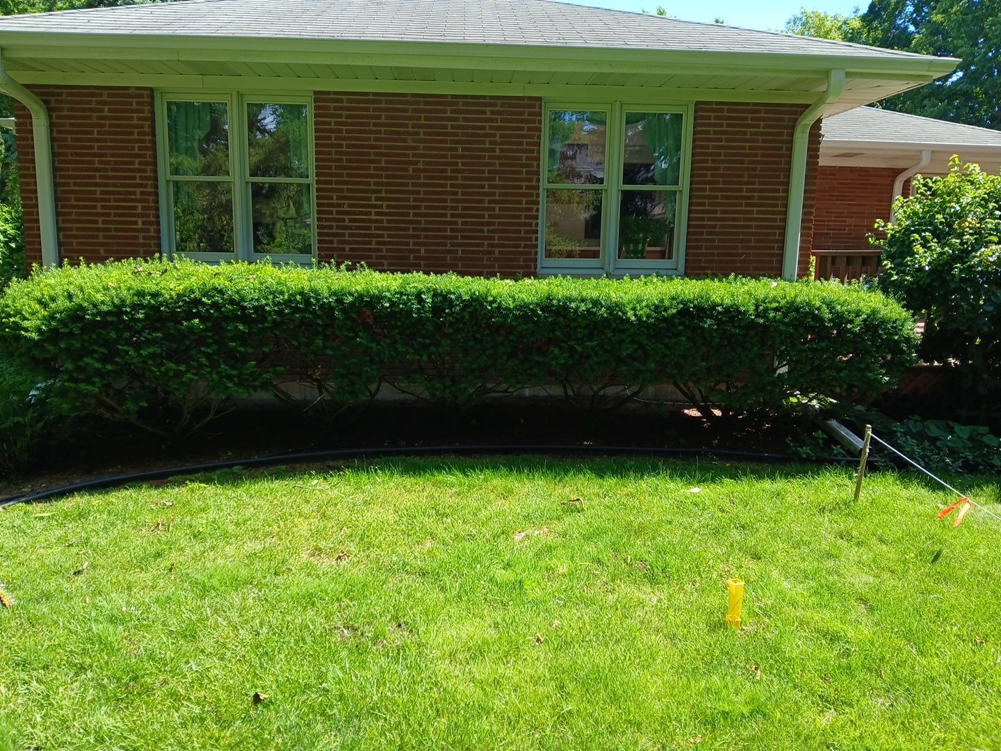Al K. - Arlington Heights, IL by A&N