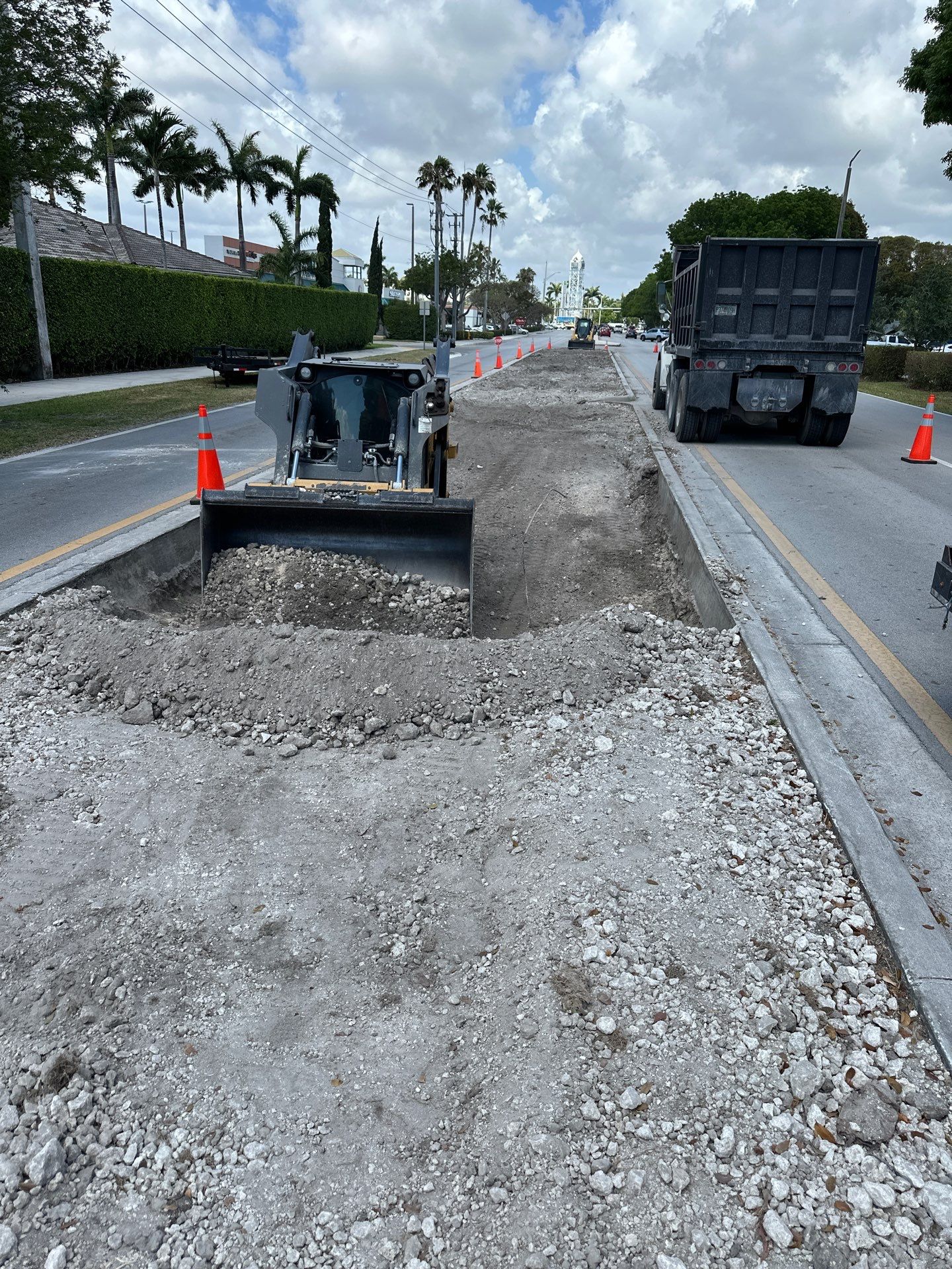 Pinecrest Median - New Native Landscape by Nature's Dream by Nature's Dream Landscape and Tree Service