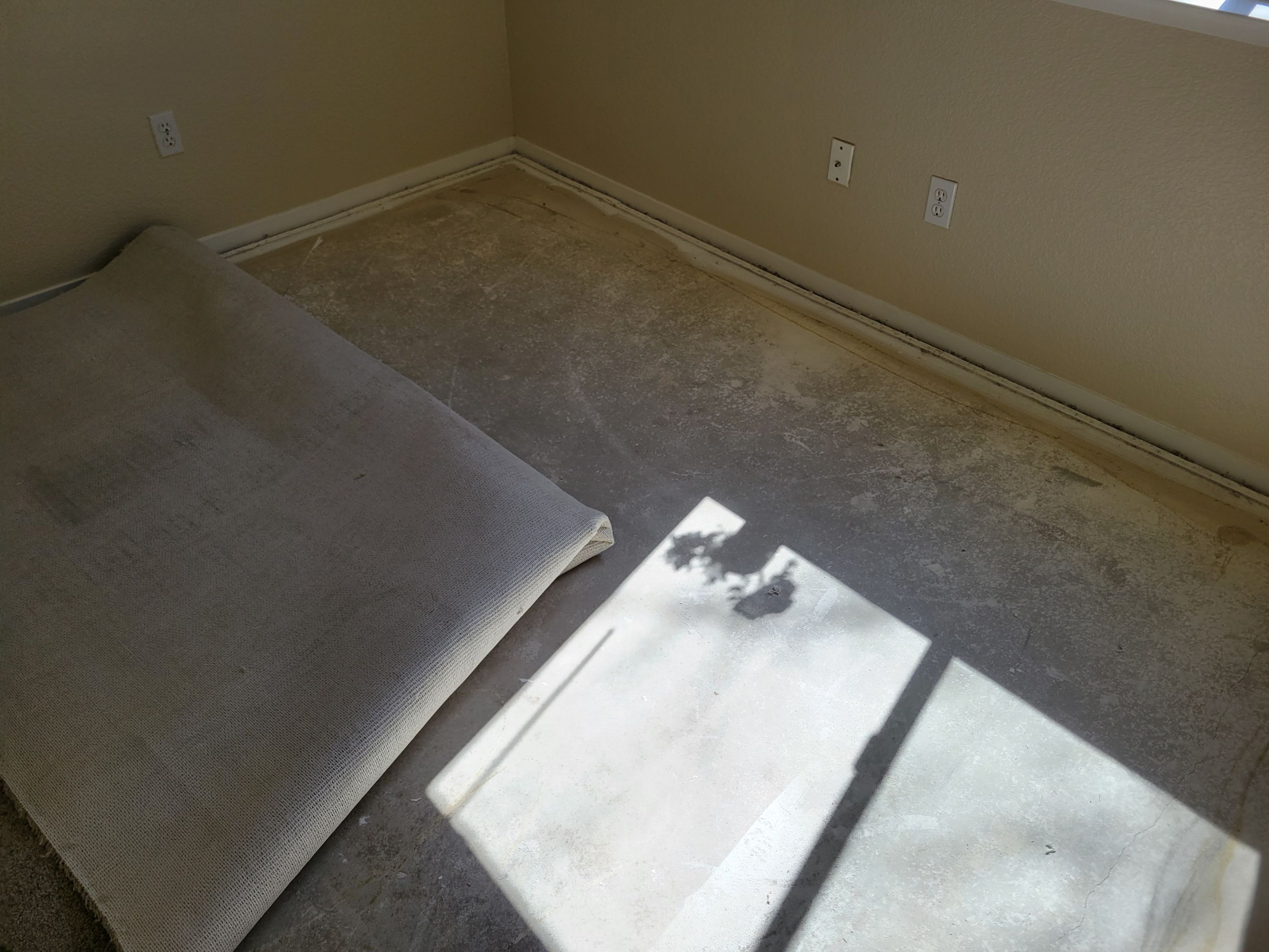 Carpet Re-install after Water Damage by Ardent Carpet Restore LLC