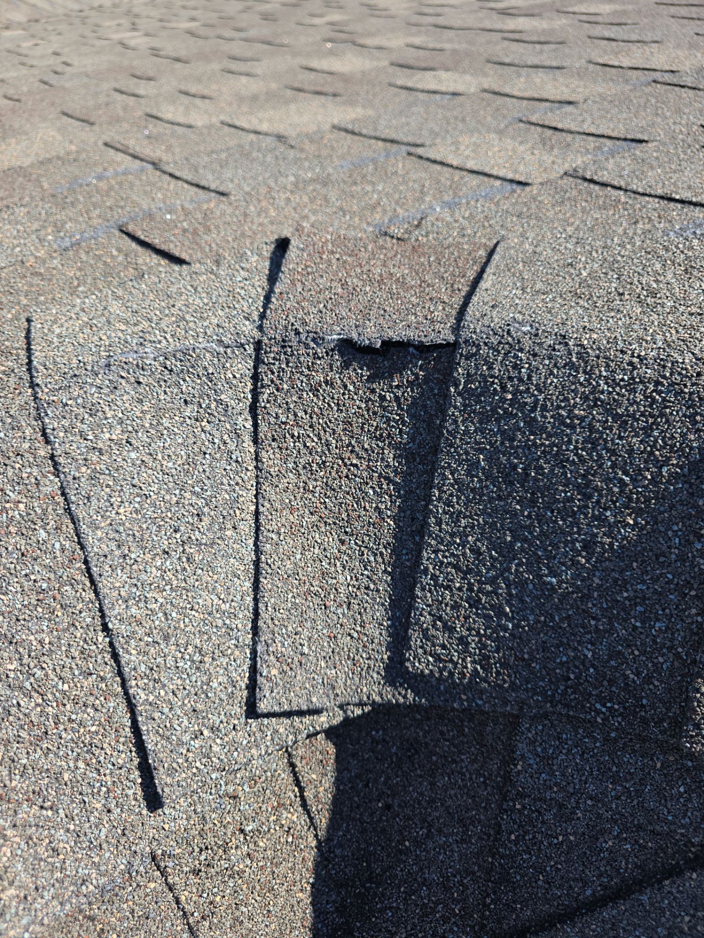 Project in Spring by Royal Crown Roofing 