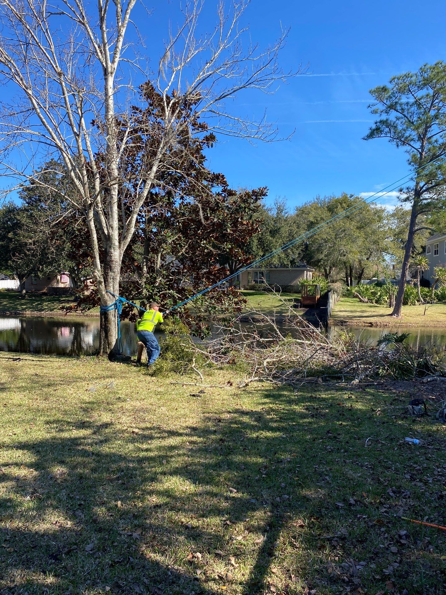 Deerwood Resident | Tree Removal by ProGreen Services