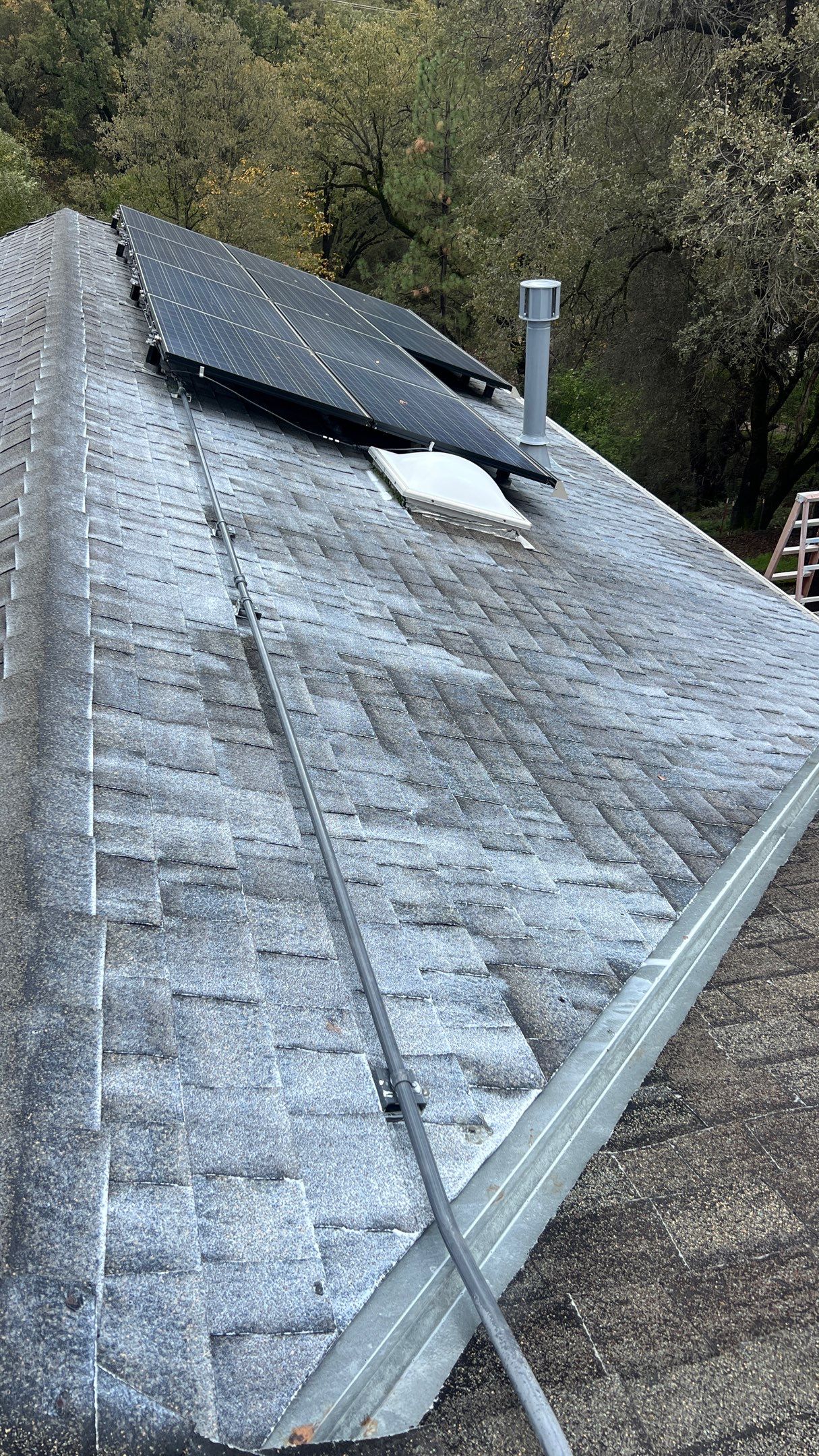 Roof Rejuvenation using Roof Maxx Treatment by Roof Maxx of Folsom