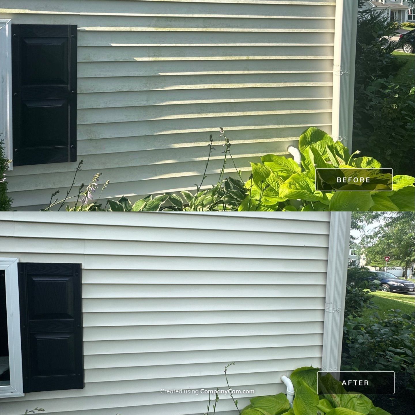 Project in Volo by Simmons Power & Soft Washing