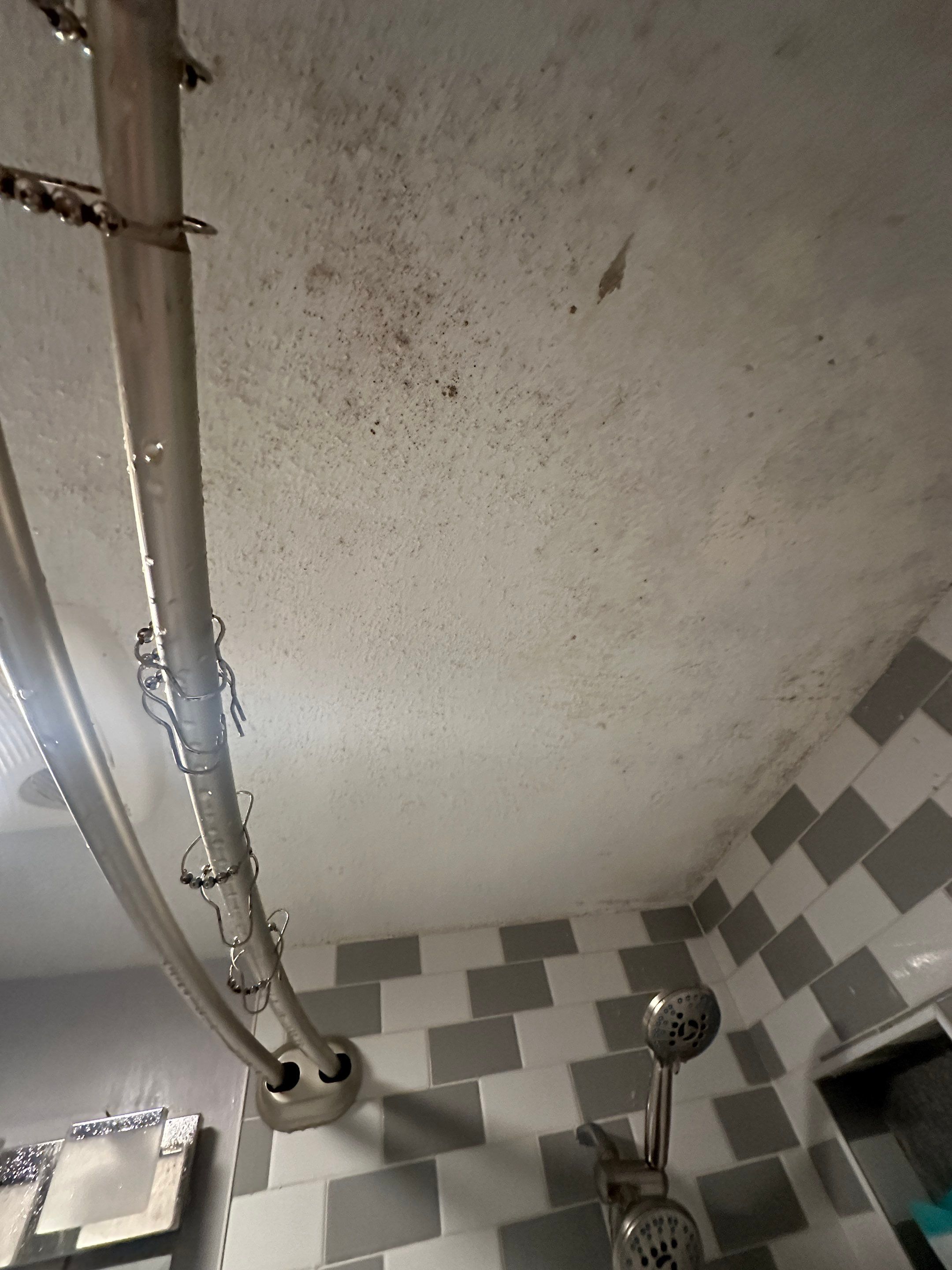 Bathroom Mold Remediation by Home Guarantee, LLC