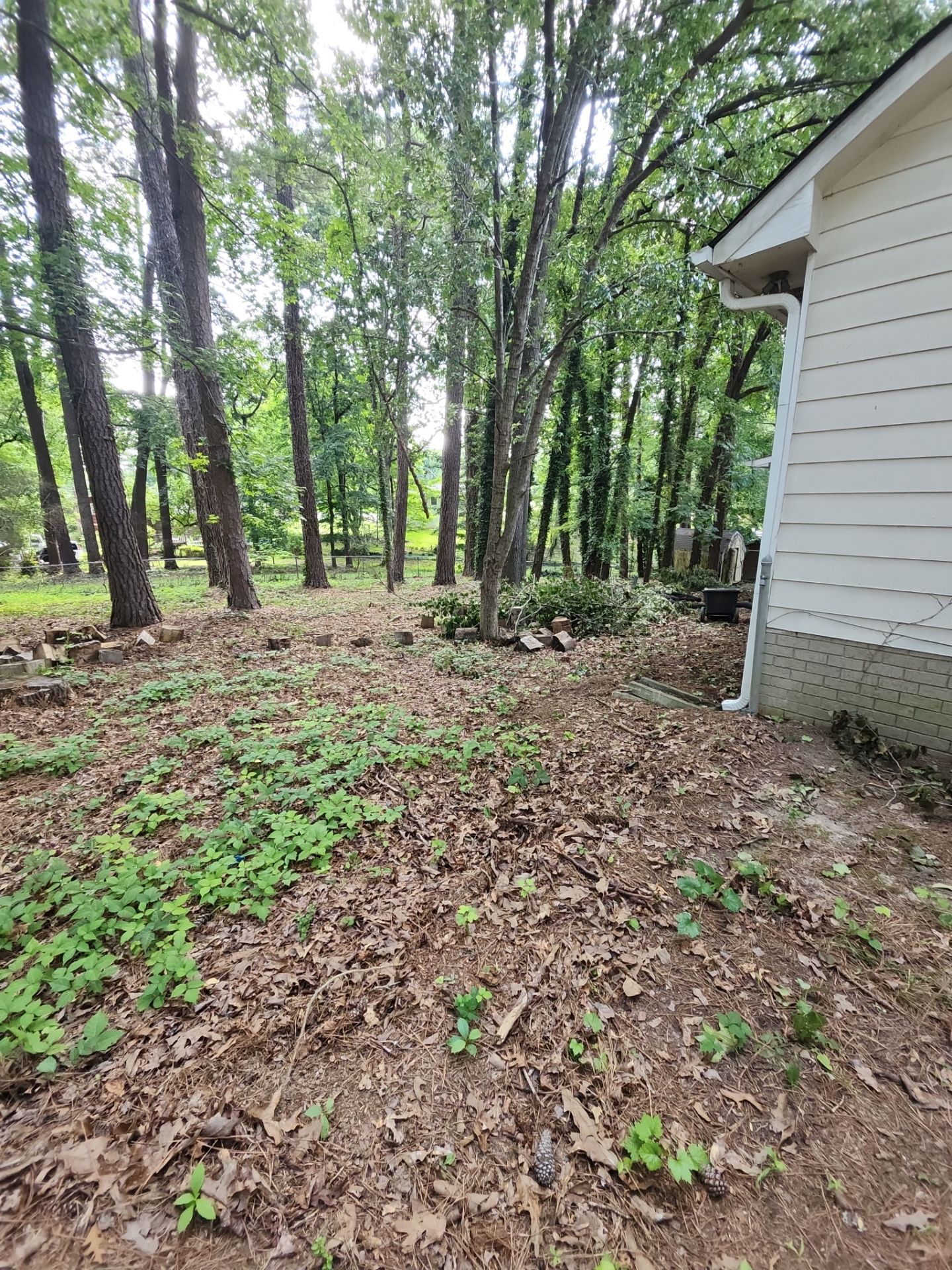 Project in Riverdale, GA by Task Masters Handyman Services, LLC