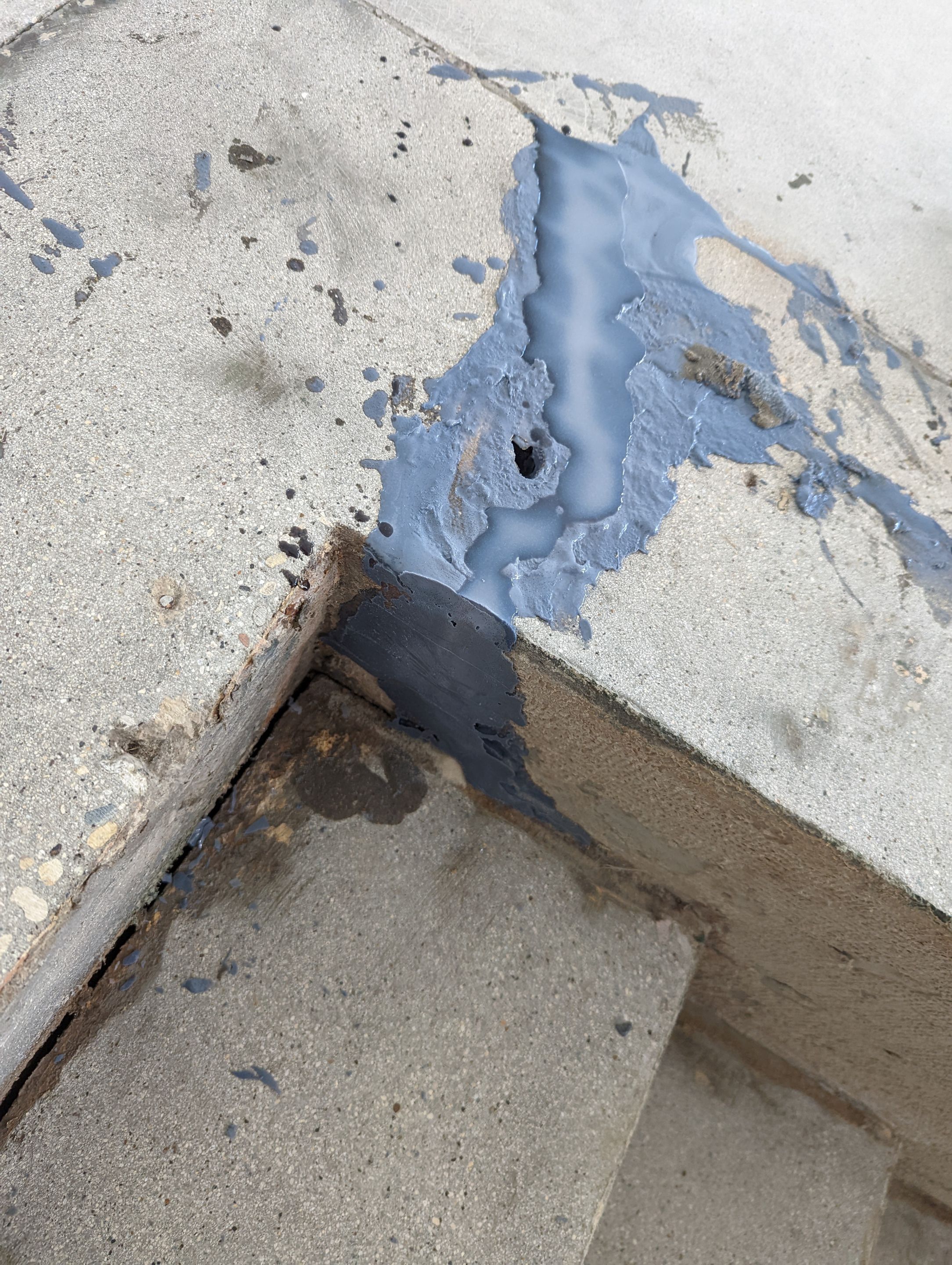 Garage using Domino  by Select Painting, Coatings & Garage Cabinets