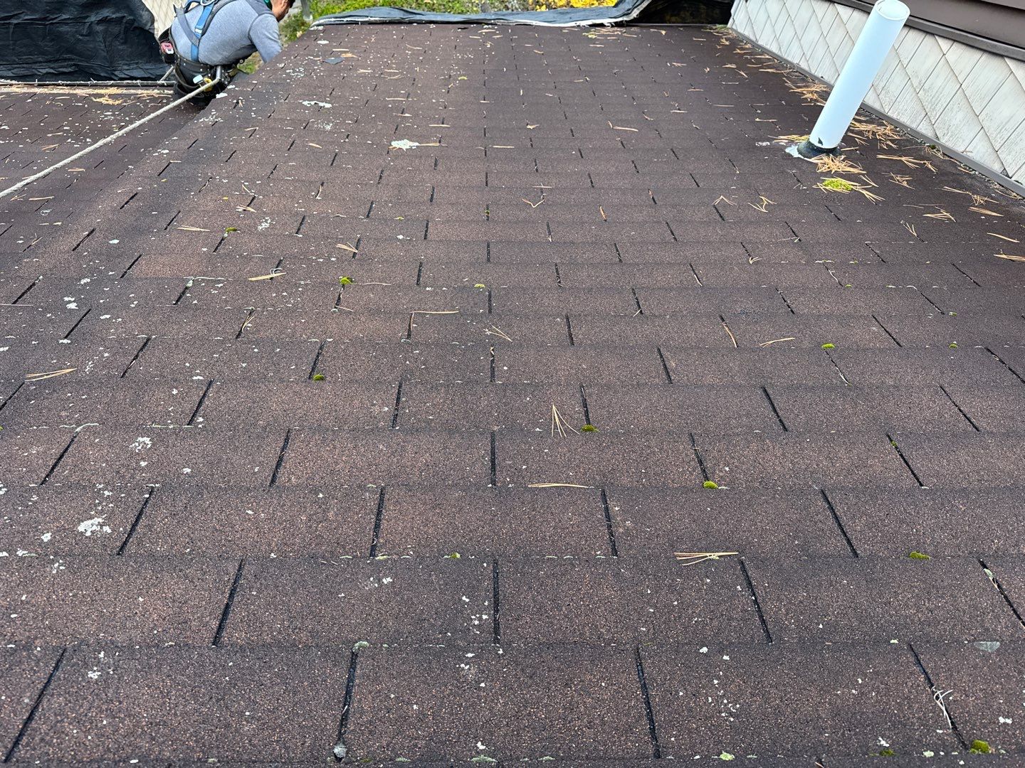 Revitalize Your Home with a New GAF Roof, Velux Skylights & Solar-Powered Shades! by Sensible Home Solutions