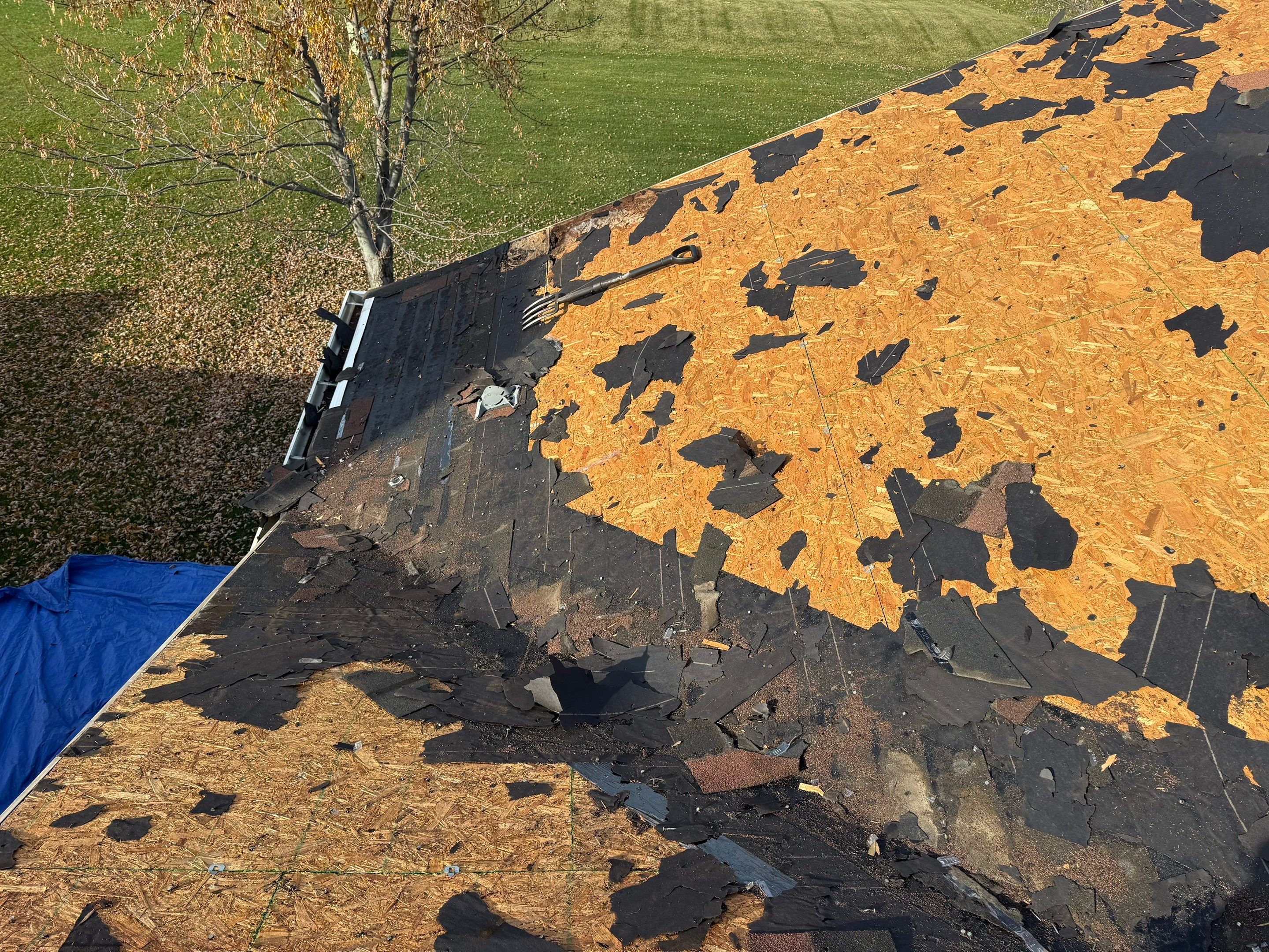 GAF Timberline HDZ® in Hickory by Optimal Home Improvement 