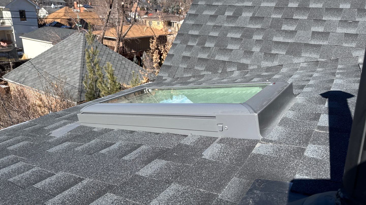 Old dog learns new tricks! by Modern Roofing Group