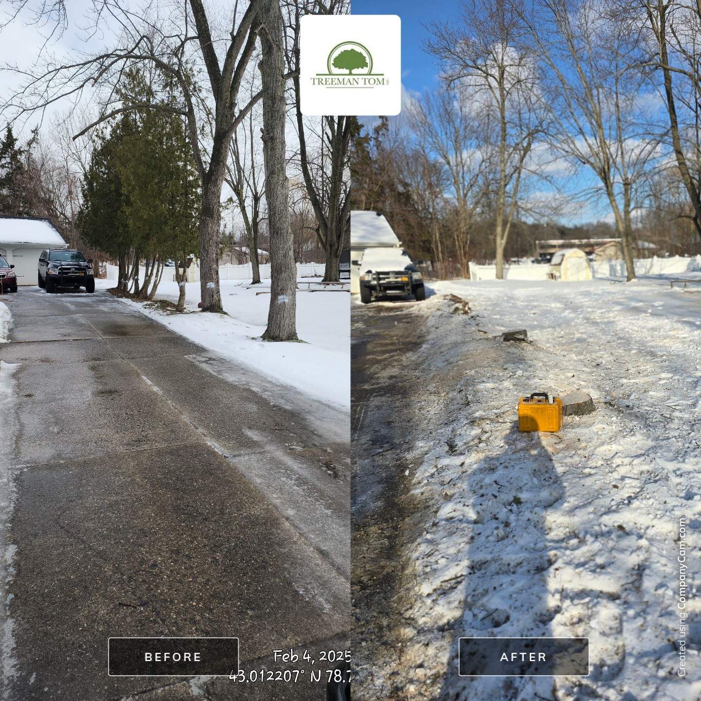 Tree Removal: Future Drive install by Treeman Tom LLC